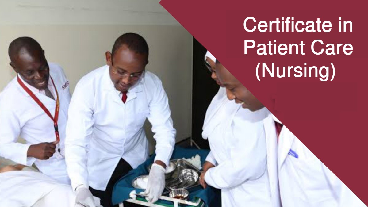 Certificate in Patient Care Nursing Course