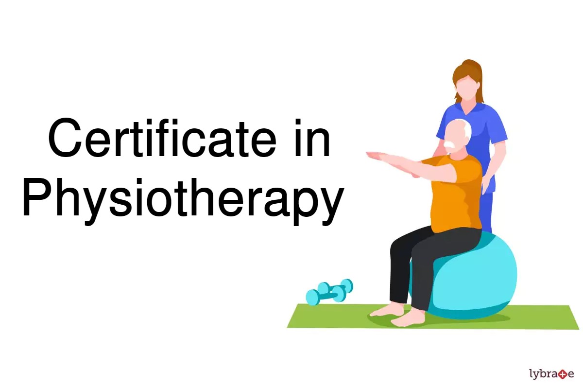 what is physiotherapy Course